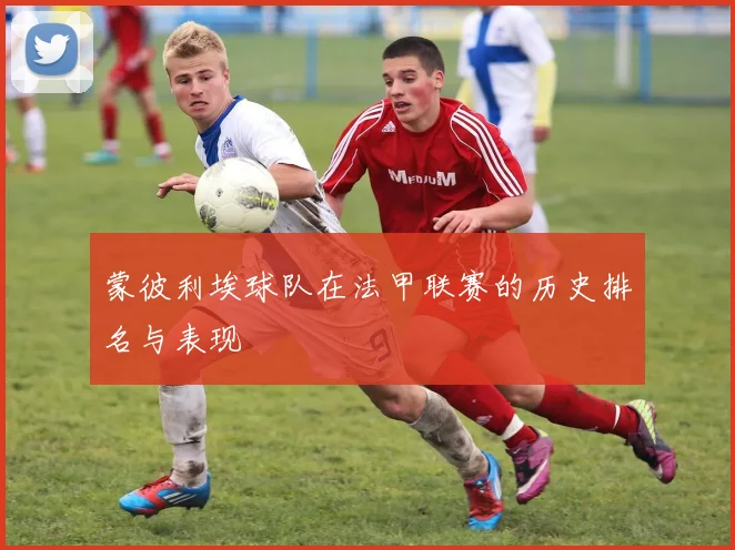 蒙彼利埃球队在法甲联赛的历史排名与表现