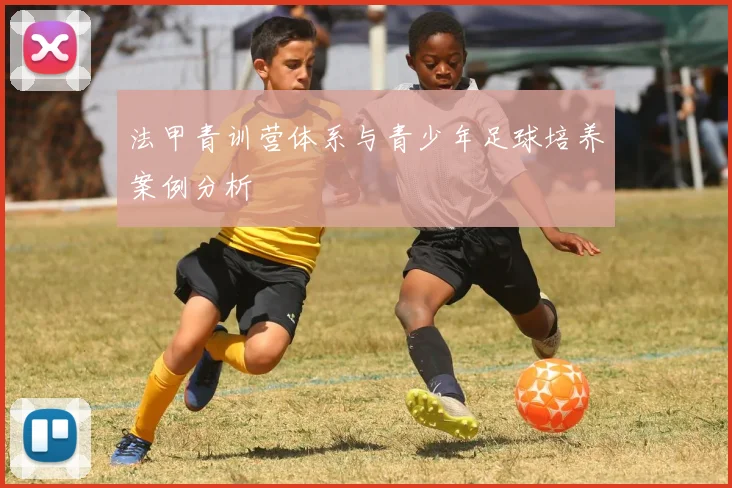 法甲青训营体系与青少年足球培养案例分析