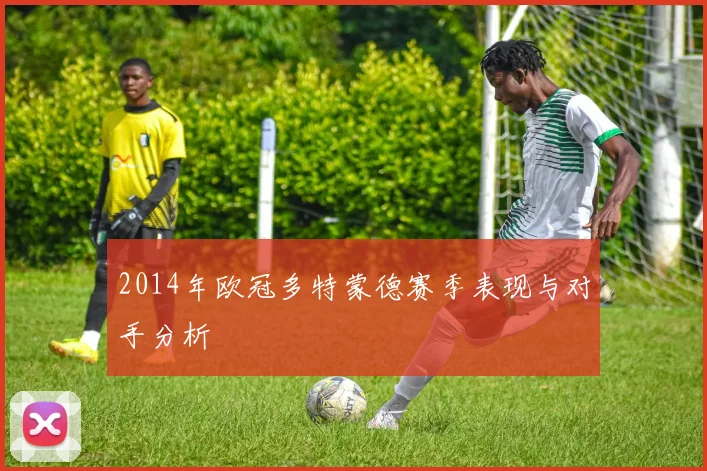 2014年欧冠多特蒙德赛季表现与对手分析