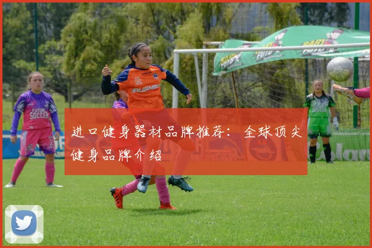 进口健身器材品牌推荐：全球顶尖健身品牌介绍