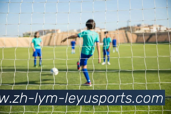 乐鱼体育APP 封面图